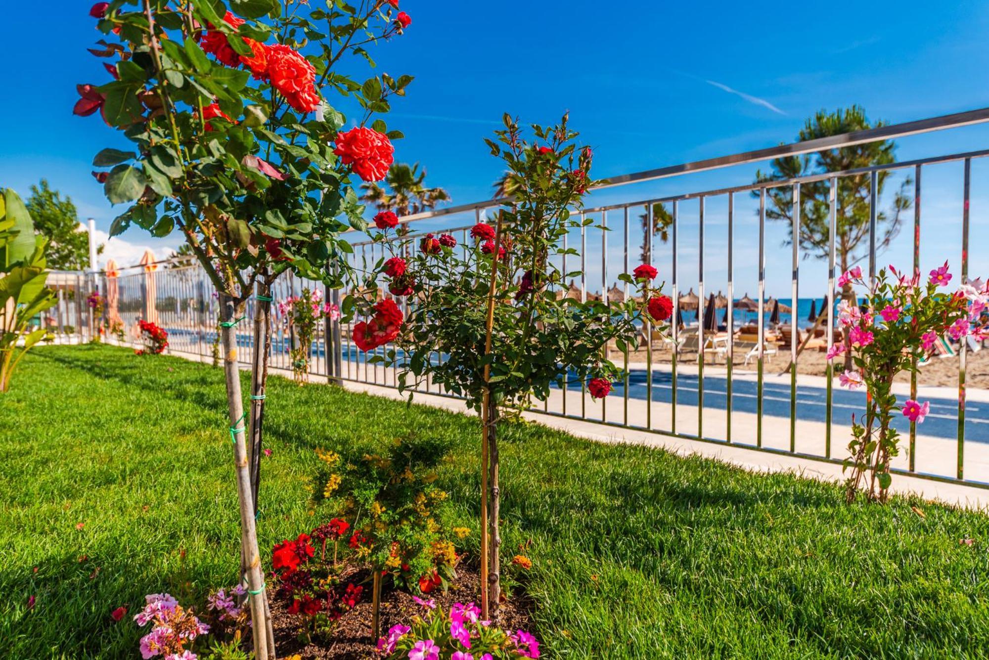 Sea View Apartments Eldo Durrës Eksteriør billede